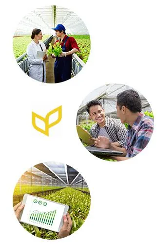 Agriplast Protected Cultivation — India's Largest Greenhouse Manufacturer