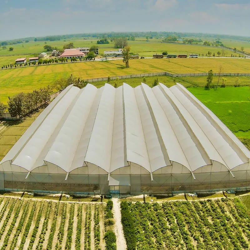 Naturally Ventilated Polyhouse (NVPH) — Agriplast