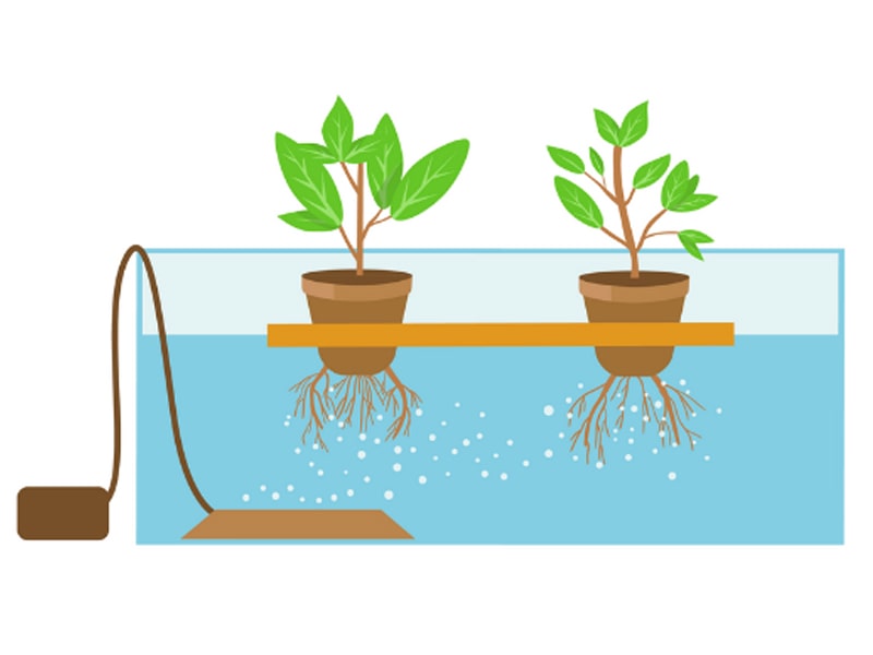 Agriplast Hydroponics, hydroponic systems, indoor farming, soilless agriculture, sustainable agriculture, nutrient solutions, hydroponic technology, plant growth, controlled environment, pest control