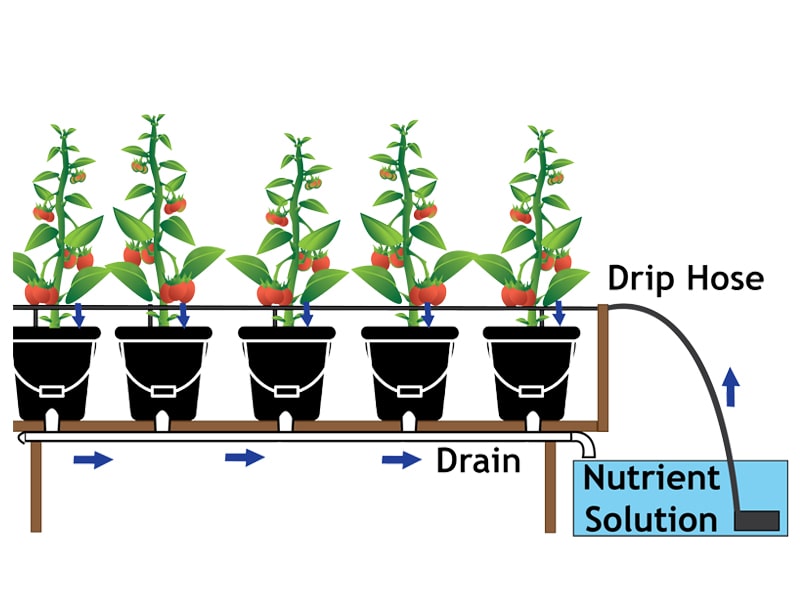Agriplast Hydroponics, hydroponic systems, indoor farming, soilless agriculture, sustainable agriculture, nutrient solutions, hydroponic technology, plant growth, controlled environment, pest control