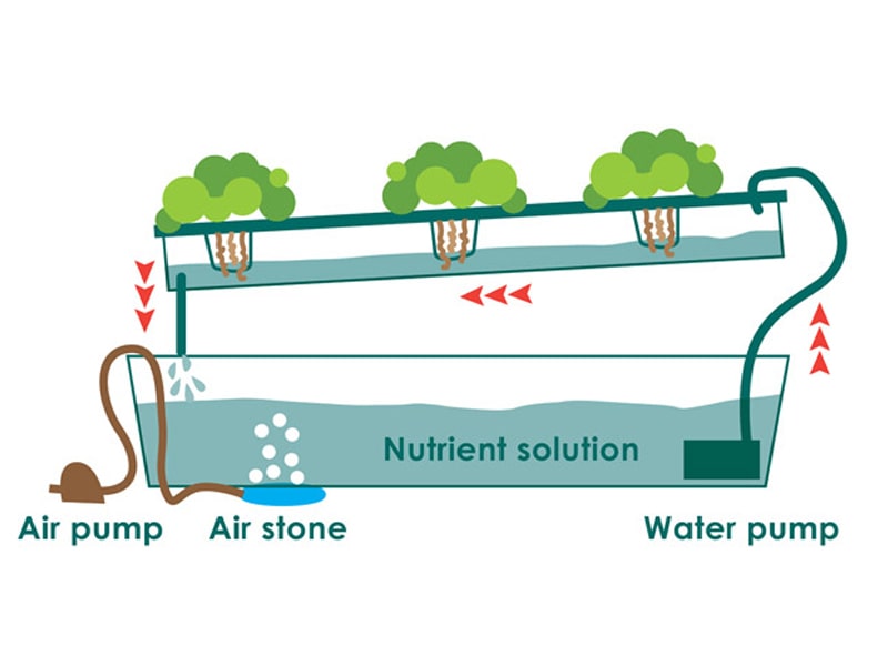 Agriplast Hydroponics, hydroponic systems, indoor farming, soilless agriculture, sustainable agriculture, nutrient solutions, hydroponic technology, plant growth, controlled environment, pest control