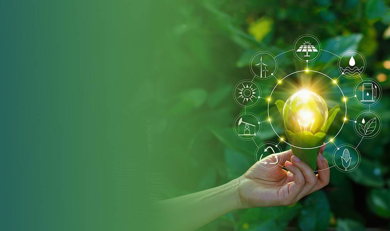 agriplast protected cultivation, greenhouse farming, polyhouse cultivation, agriplast solutions, protected agriculture, polyhouse farming, agriplast greenhouse, sustainable farming, modern agriculture techniques, climate-controlled farming, agriplast innovations