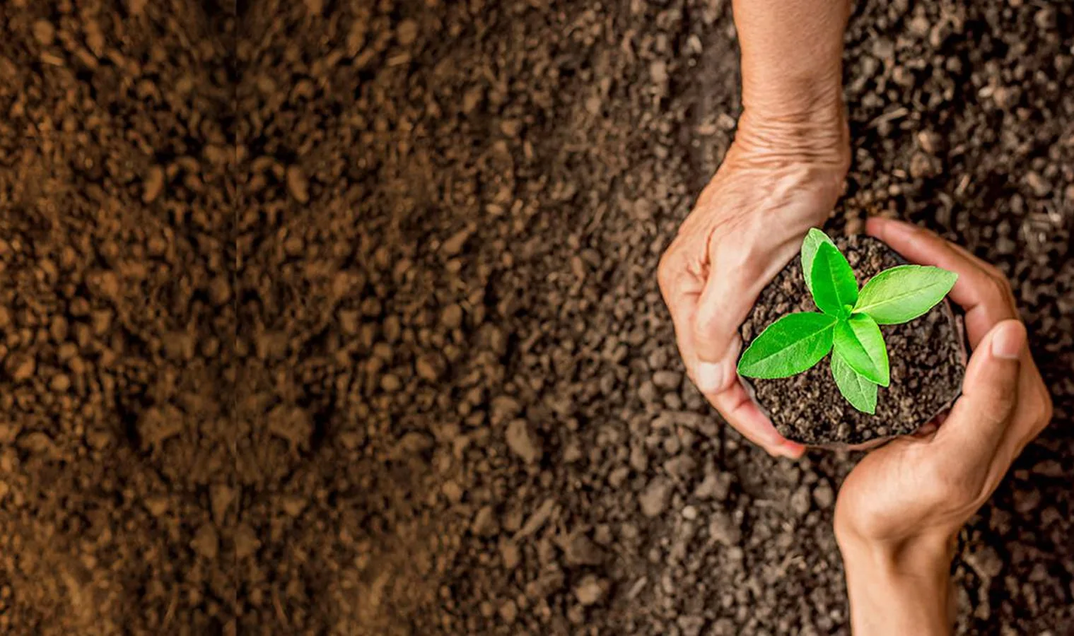 Corporate protected cultivation project — Agriplast greenhouse structure