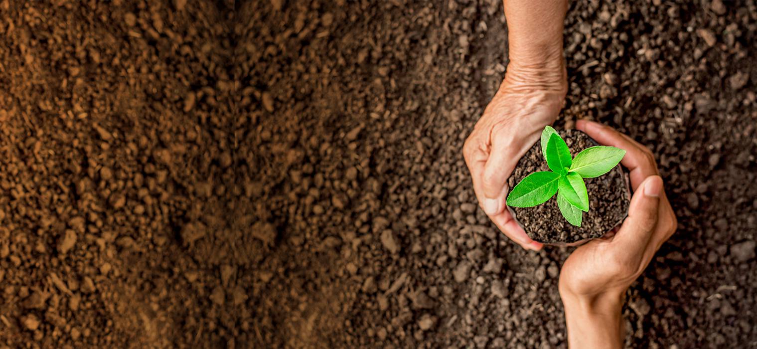 agriplast protected cultivation, greenhouse farming, polyhouse cultivation, agriplast solutions, protected agriculture, polyhouse farming, agriplast greenhouse, sustainable farming, modern agriculture techniques, climate-controlled farming, agriplast innovations