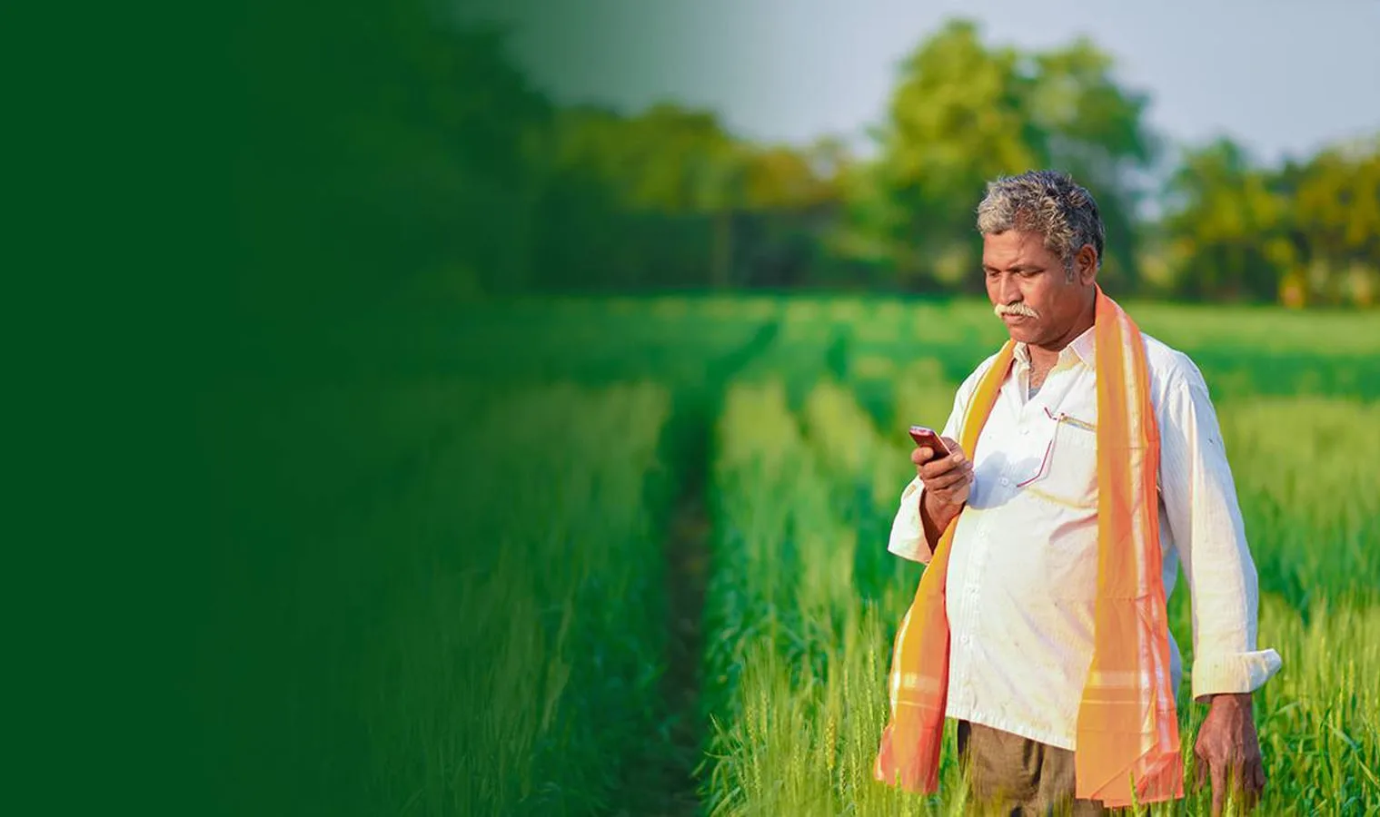 Farmer success story — Agriplast polyhouse greenhouse farming