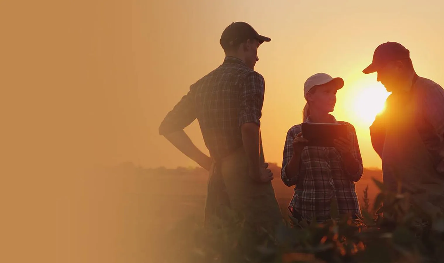 Hi-tech polyhouse farming — Agriplast farmer success story