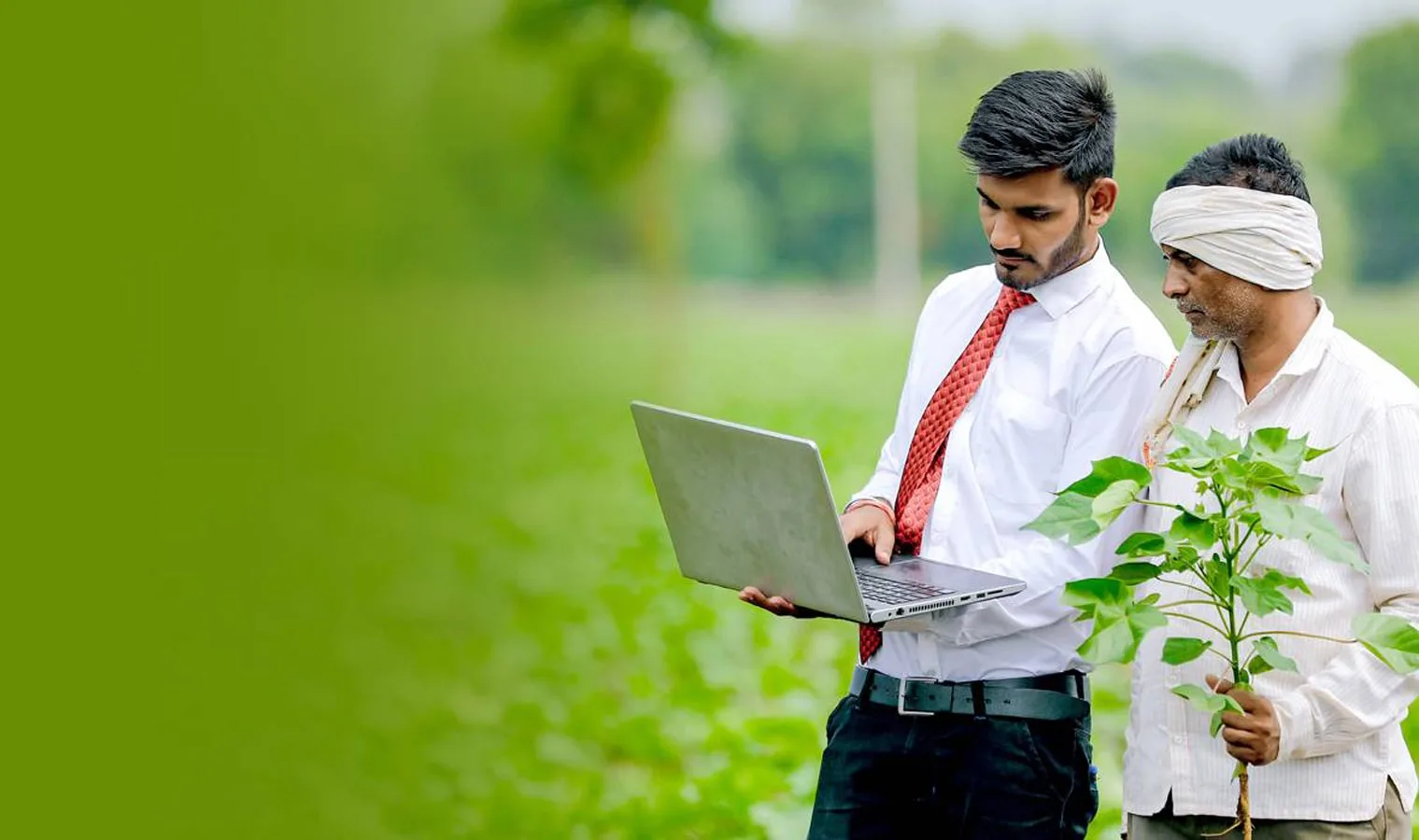 Greenhouse farmer testimonial — Agriplast protected cultivation