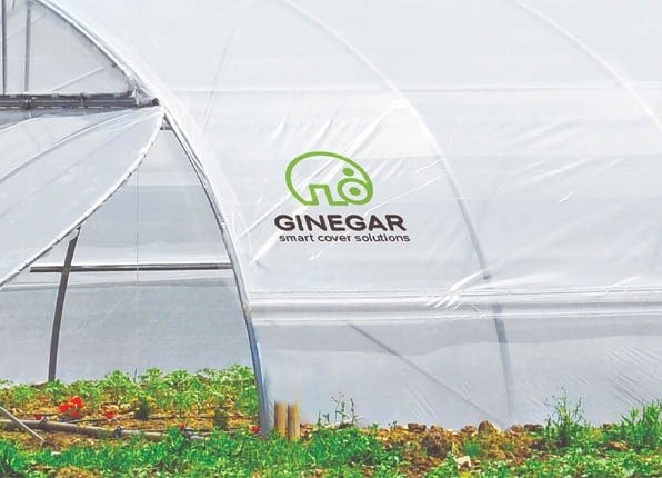 greenhouse, mulch, ginegar, agriplast, ग्रीनहाउस, एग्रीकल्चर, agriculture department , agriculture, india