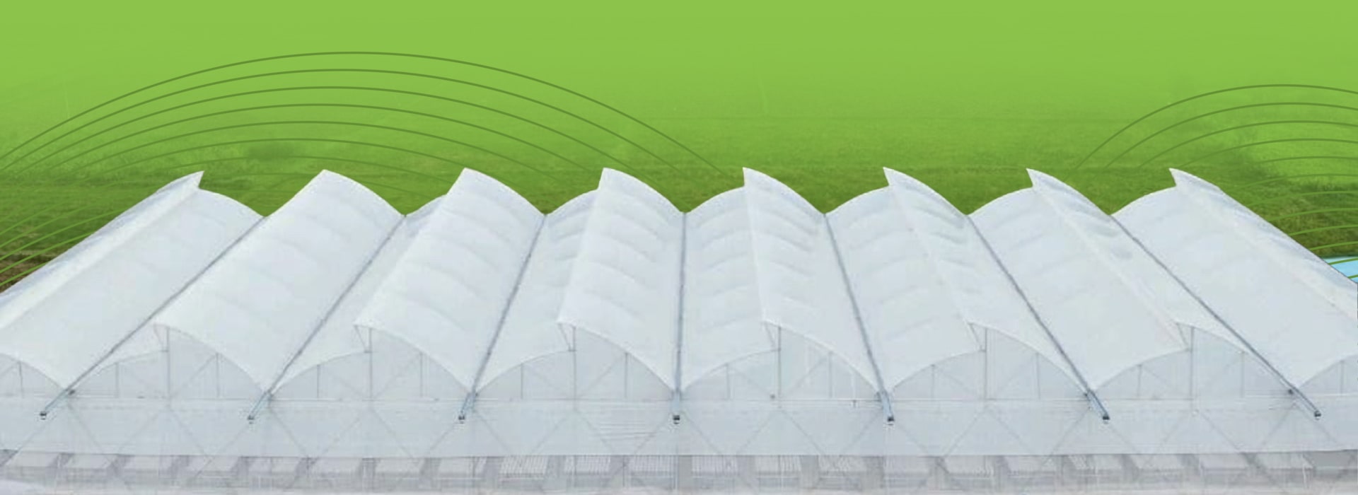 agriplast protected cultivation, greenhouse farming, polyhouse cultivation, agriplast solutions, protected agriculture, polyhouse farming, agriplast greenhouse, sustainable farming, modern agriculture techniques, climate-controlled farming, agriplast innovations