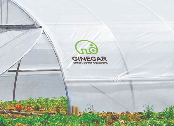 agriplast protected cultivation, greenhouse farming, polyhouse cultivation, agriplast solutions, protected agriculture, polyhouse farming, agriplast greenhouse, sustainable farming, modern agriculture techniques, climate-controlled farming, agriplast innovations