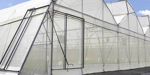 agriplast protected cultivation, greenhouse farming, polyhouse cultivation, agriplast solutions, protected agriculture, polyhouse farming, agriplast greenhouse, sustainable farming, modern agriculture techniques, climate-controlled farming, agriplast innovations