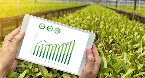 agriplast protected cultivation, greenhouse farming, polyhouse cultivation, agriplast solutions, protected agriculture, polyhouse farming, agriplast greenhouse, sustainable farming, modern agriculture techniques, climate-controlled farming, agriplast innovations