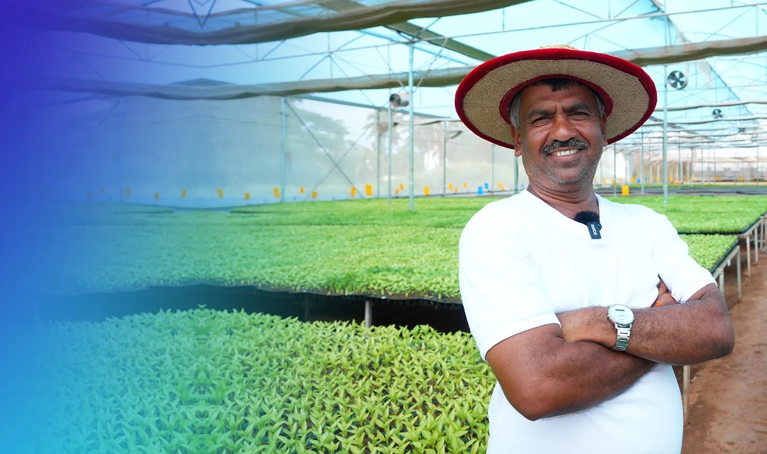 Agriplast success story — polyhouse farmer transformation 11