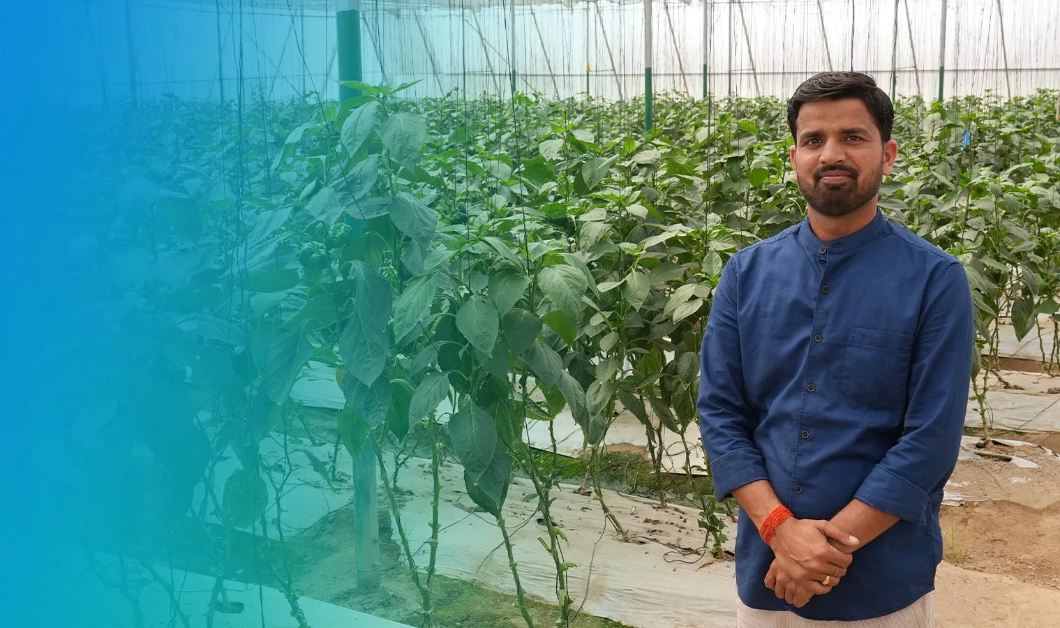 Agriplast success story — polyhouse farmer transformation 5