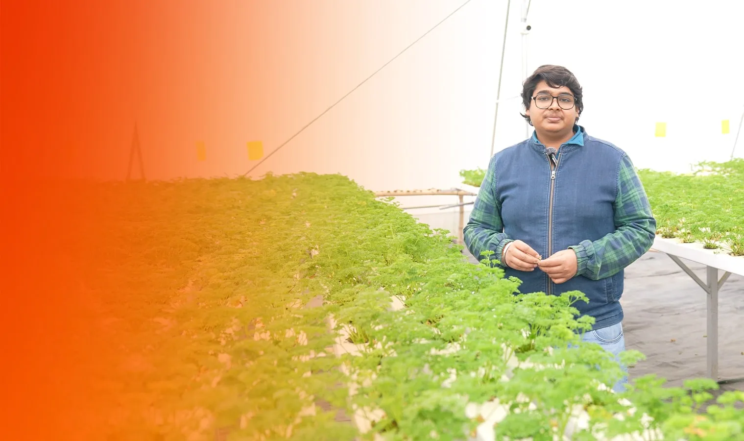 Agriplast success story — polyhouse farmer transformation 7