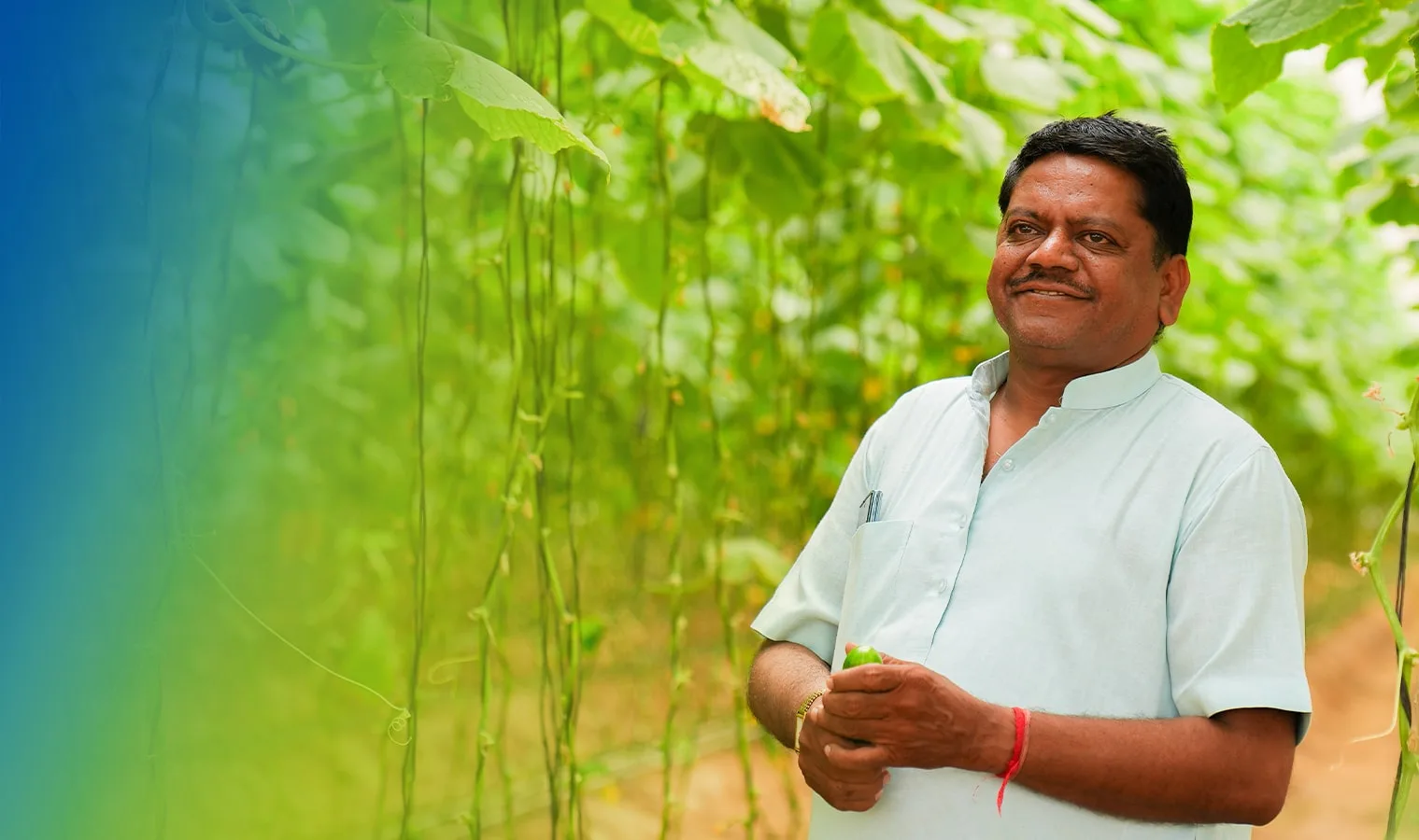 Agriplast success story — polyhouse farmer transformation 8
