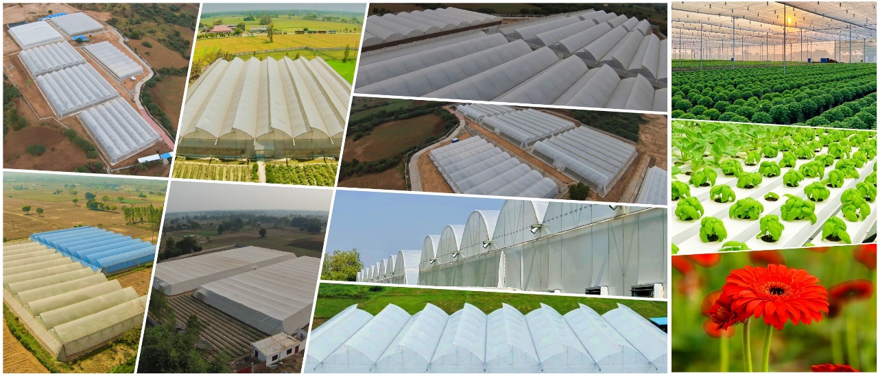 hydroponic, Hitech farming, advantages of hydroponics, Types of the Hydroponics, plant growth, agriculture, India, Deepwater culture systems, Nutrient film technique systems, Aeroponic System, Dutch Bucket Grow System, polyhouse automation, greenhouse, India, Bangalore, Karnataka, greenhouse, agriplast, agronomy support, agriprenuers, Rajeeb Roy, hydroponics, agriculture, technique, smart farming, automation, automation system, farming, organic farming, Agri, agribusiness, hydroponic farming