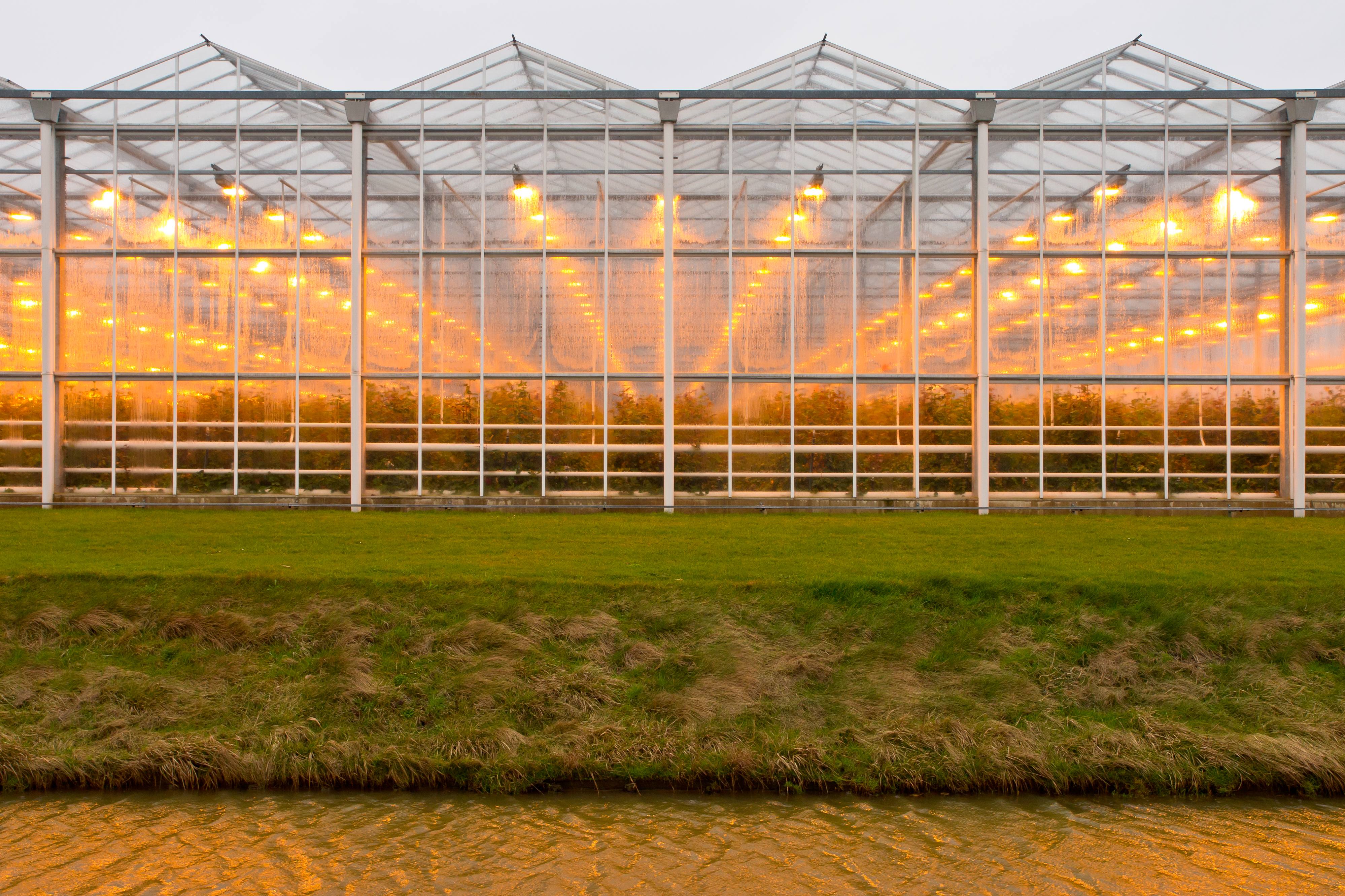 Greenhouse in India
