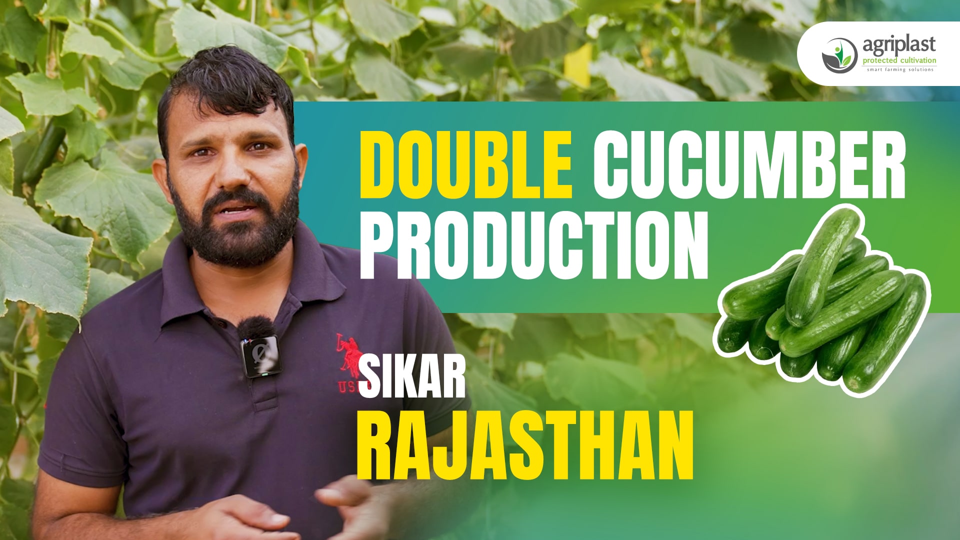 hydroponic, Hitech farming, advantages of hydroponics, Types of the Hydroponics, plant growth, agriculture, India, Deepwater culture systems, Nutrient film technique systems, Aeroponic System, Dutch Bucket Grow System, polyhouse automation, greenhouse, India, Bangalore, Karnataka, greenhouse, agriplast, agronomy support, agriprenuers, Rajeeb Roy, hydroponics, agriculture, technique, smart farming, automation, automation system, farming, organic farming, Agri, agribusiness, hydroponic farming