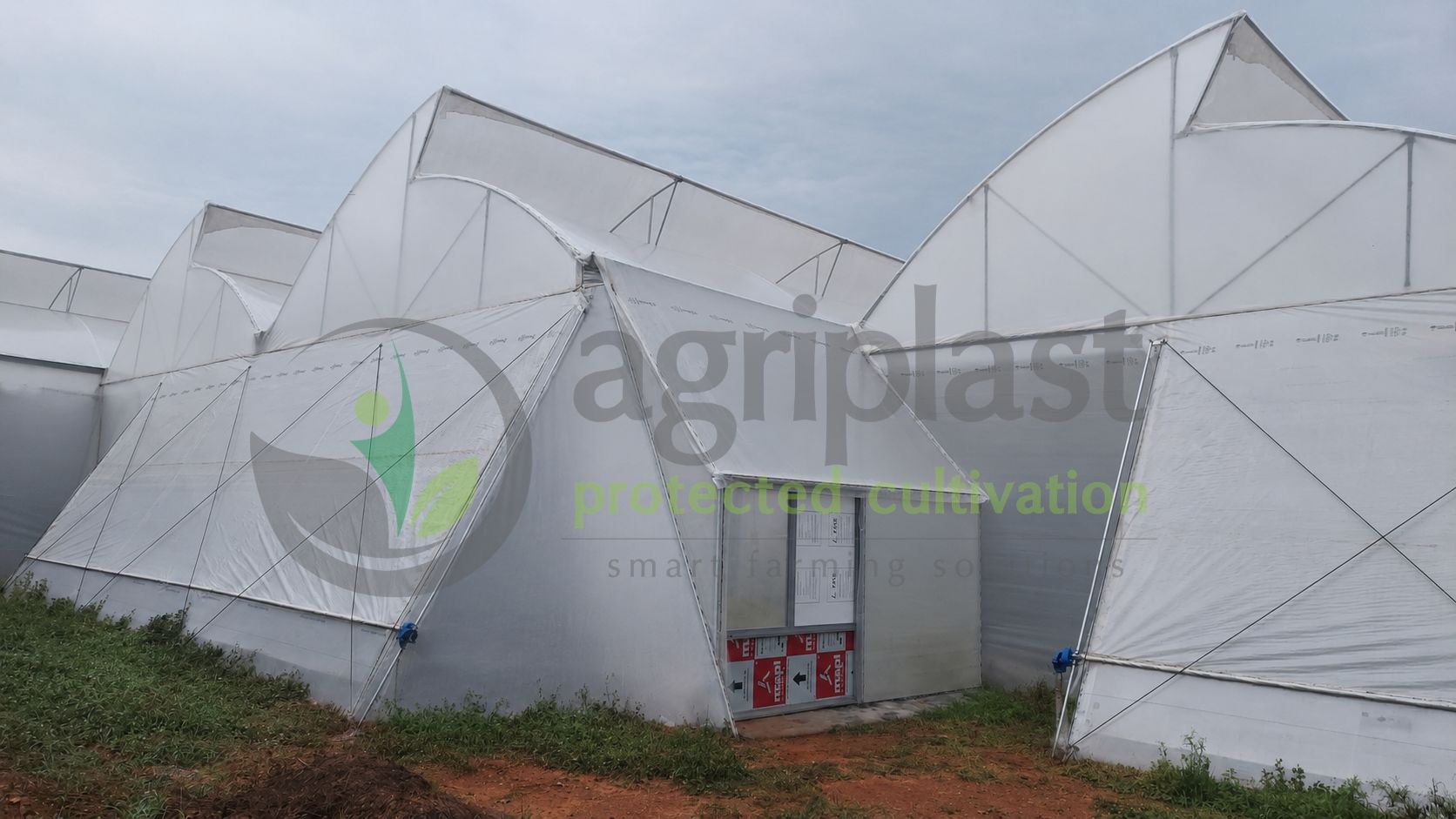 Naturally Ventilated Polyhouse - Pollachi, Tamil Nadu