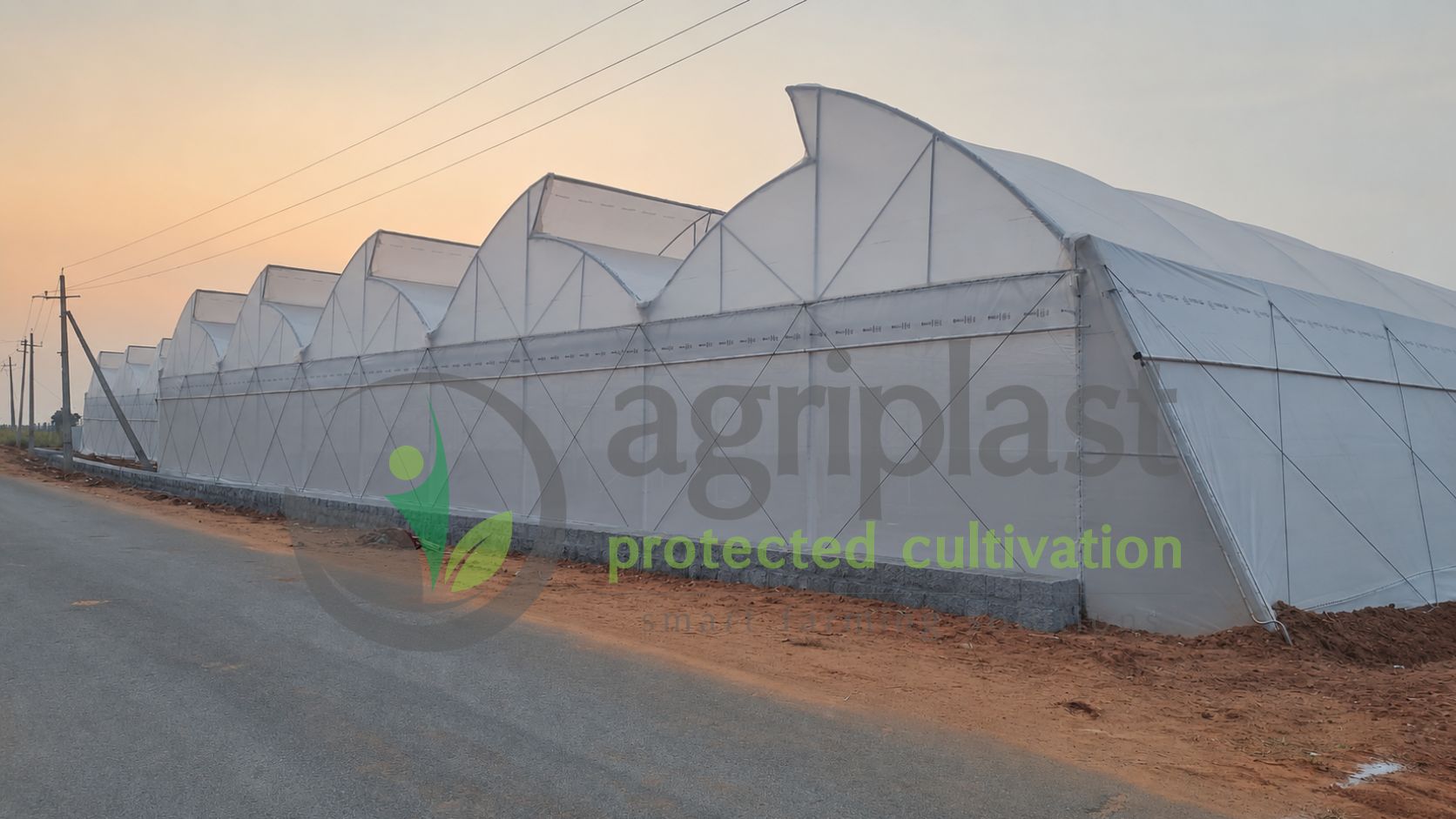 Naturally Ventilated Polyhouse - Doddaballapur, Karnataka