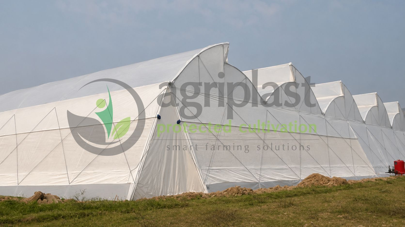 Naturally Ventilated Polyhouse - Srikalahasti, Andhra Pradesh