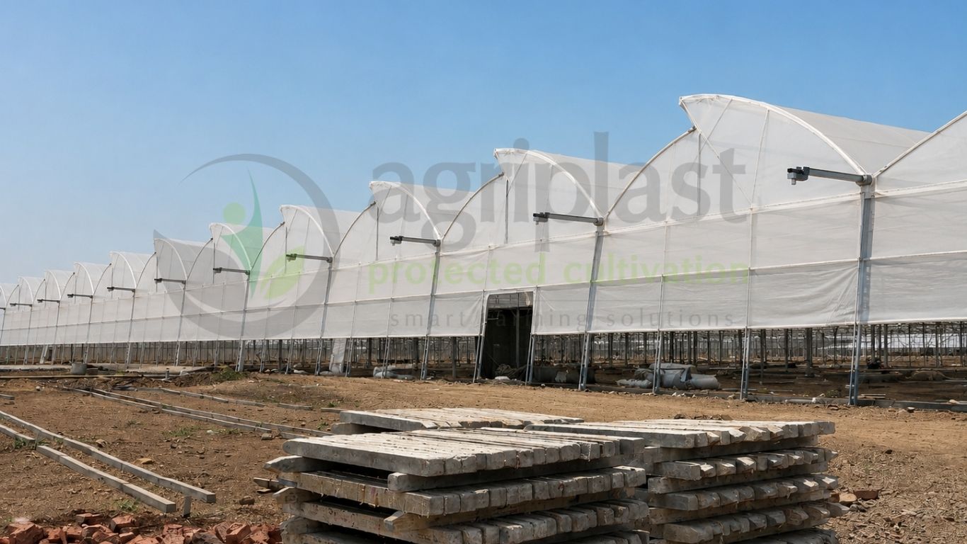 Naturally Ventilated Polyhouse Near Pune